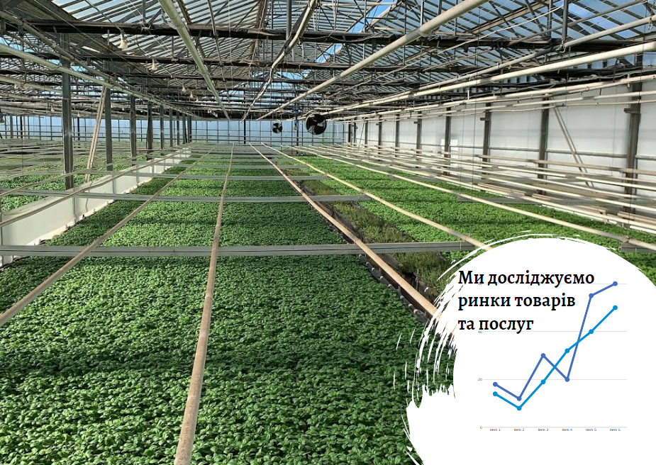 Ринок тепличної зелені та овочів в Україні: для зростання необхідна більш дешева енергія